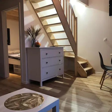 Domiko * 米科泽沃